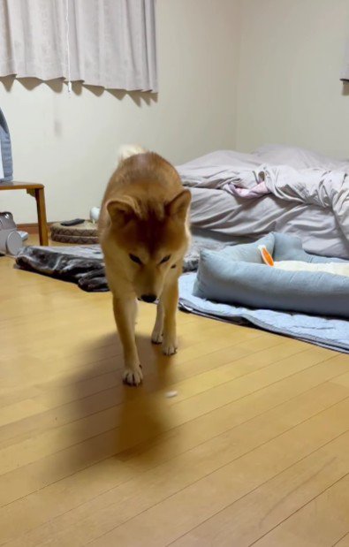 ！？