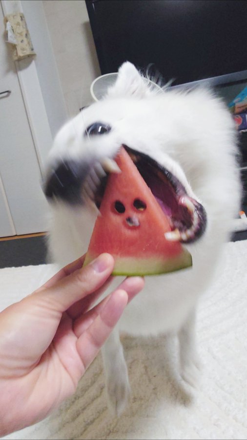 ギャップ