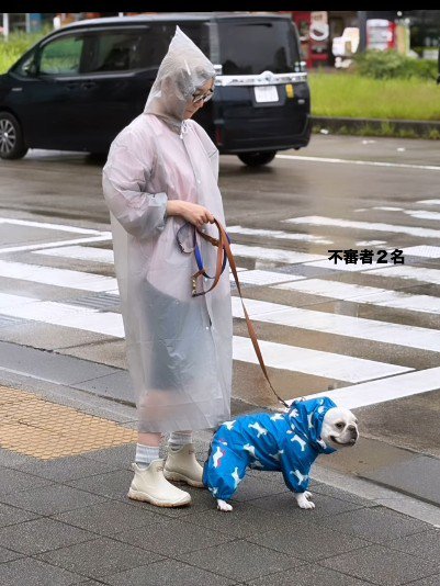 雨の日限定の光景です♪