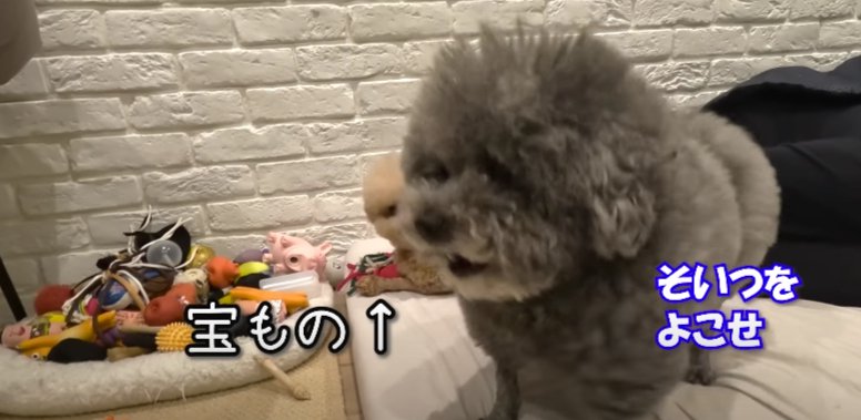 〜字幕そいつをよこせ