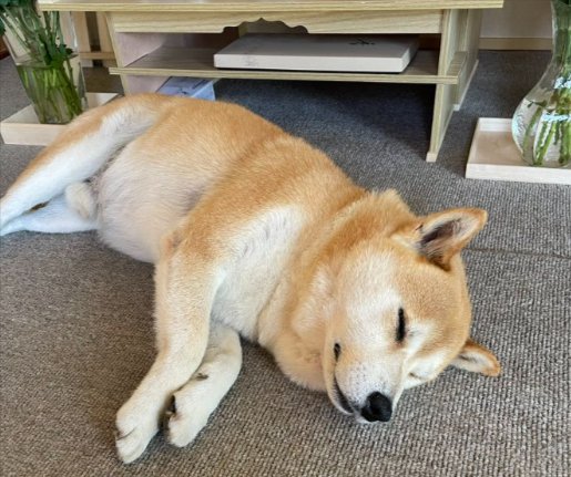 いつもの場所