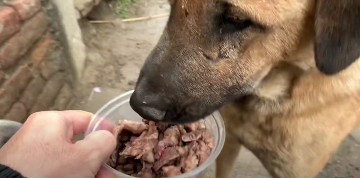 食べる