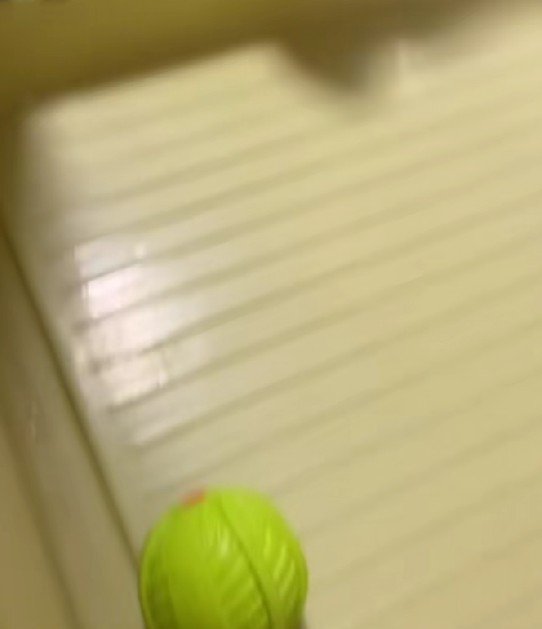 お風呂場に行ってみると…
