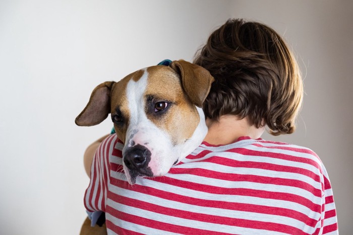 犬を抱きしめる人の後ろ姿