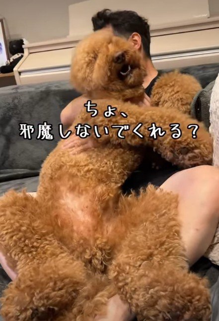 「ママ、邪魔しないで」