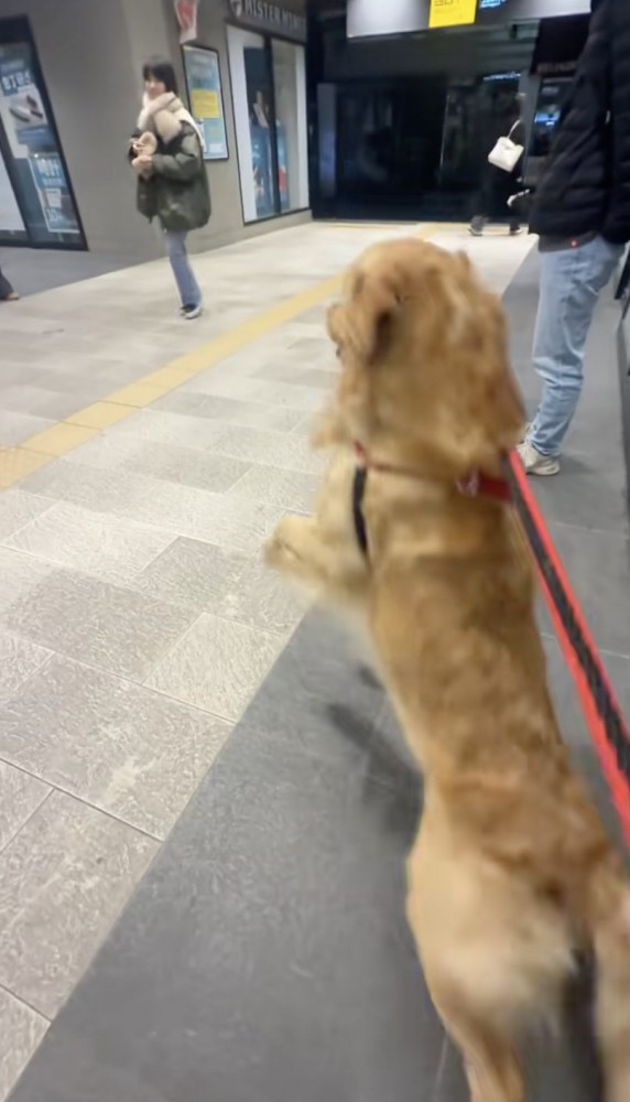 リードを引っ張って…