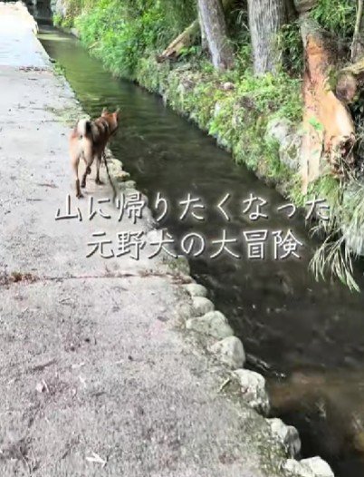 山へ遊びに行くと…