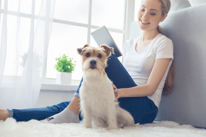 女性に背中をなでられる犬