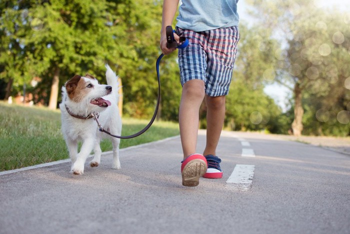 横に並んで歩く子供と犬