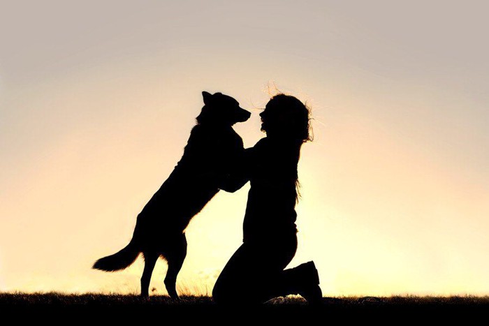 犬と女性のシルエット