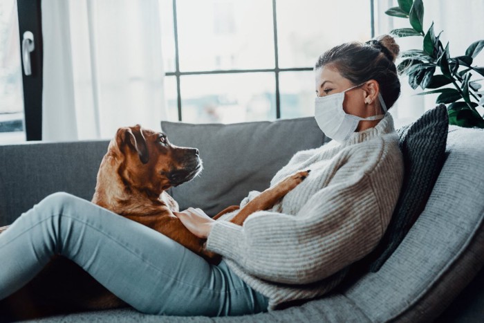 愛犬と見つめ合うマスクをした女性