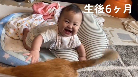 しっぽを振る犬のそばで笑顔になる赤ちゃん