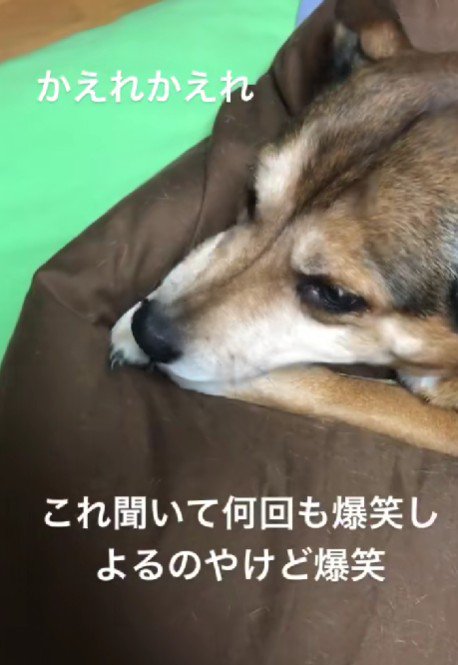 人間みたいな声にびっくり!!