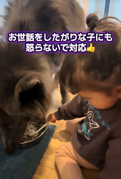 迷惑そうにせず、優しく対応