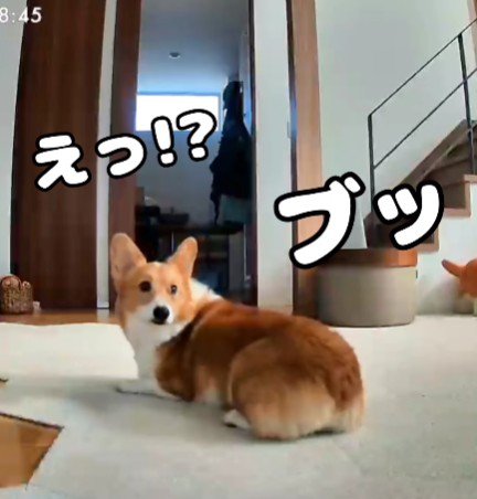 「ブッ」