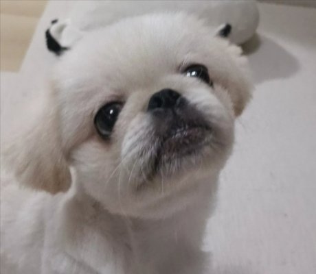 生後6ヶ月