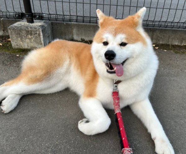 素敵な笑顔