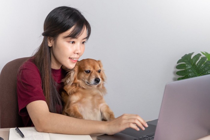 犬を抱いてノートPCに向かう女性