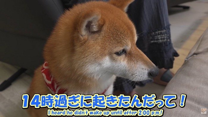お兄ちゃんの寝坊を伝えたら…