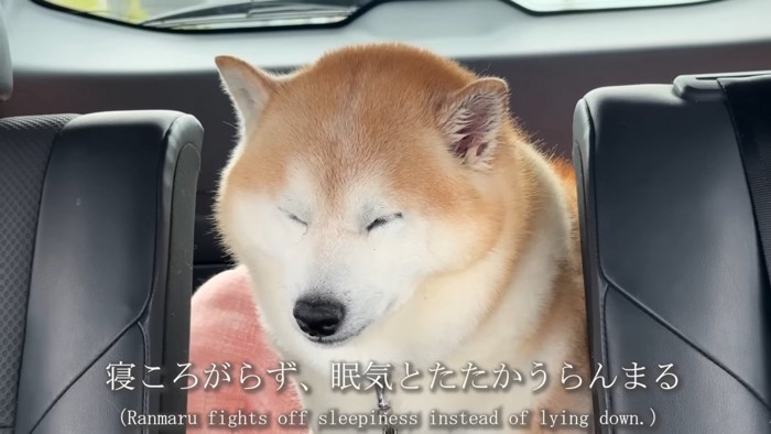 限界に達したような表情