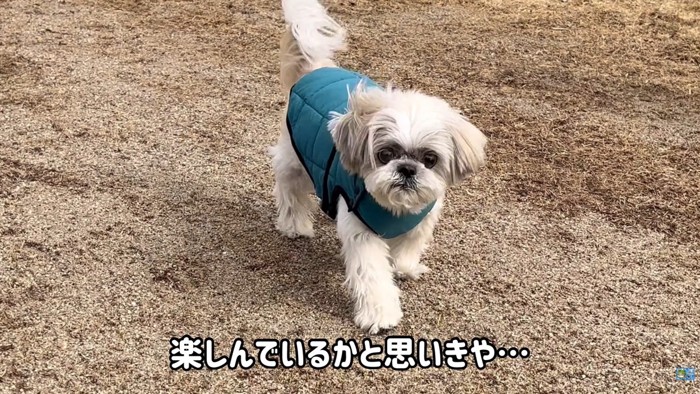 やっと動き始めたと思ったら…