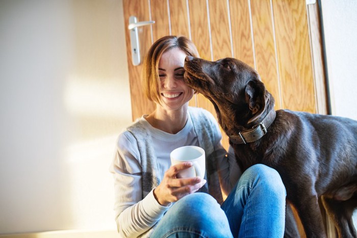 カップを持った女性の顔を舐める犬