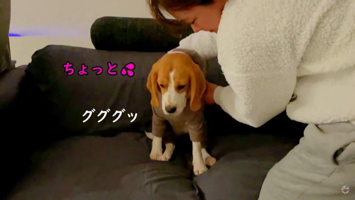 寝たくないメイちゃんVS飼い主さん6