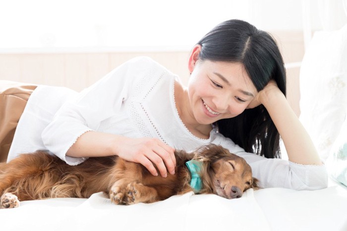 寝ている犬を撫でる女性