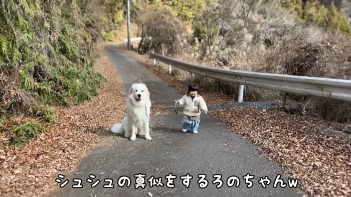 女の子が立ち止まると…?