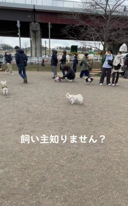 見つけられない…