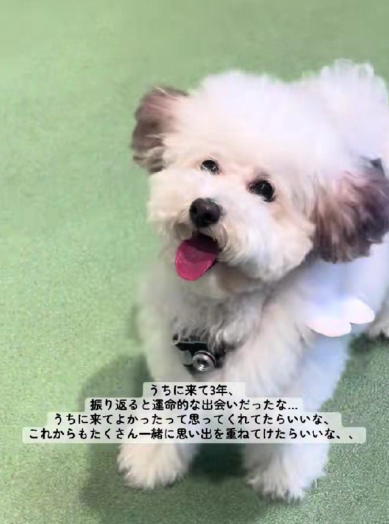 表情も変わったね！