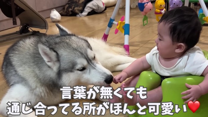 本当の兄弟のよう