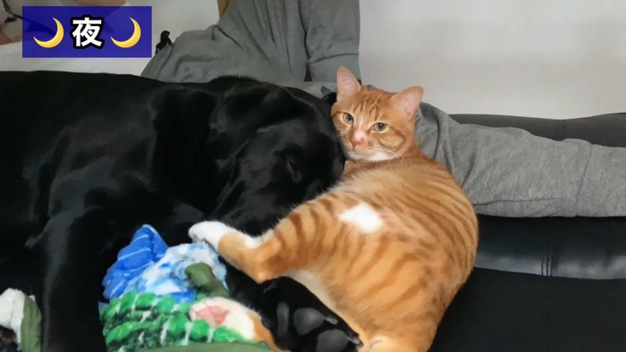 やっぱりすぐに仲直り♡