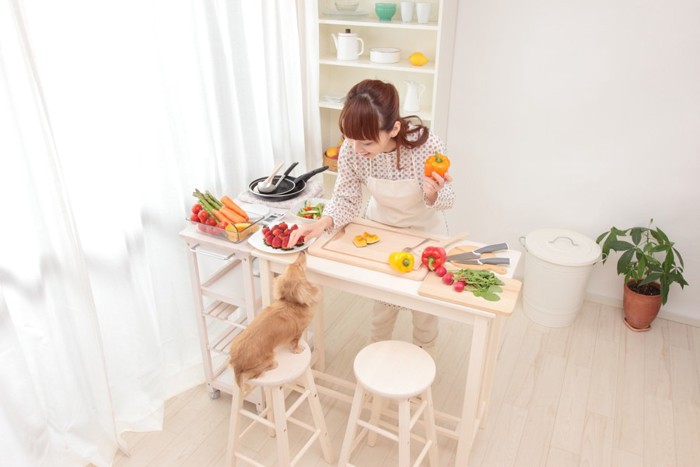 料理している女性と犬