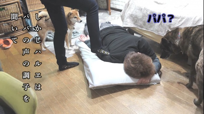 ハルヱちゃんも心配してくれます