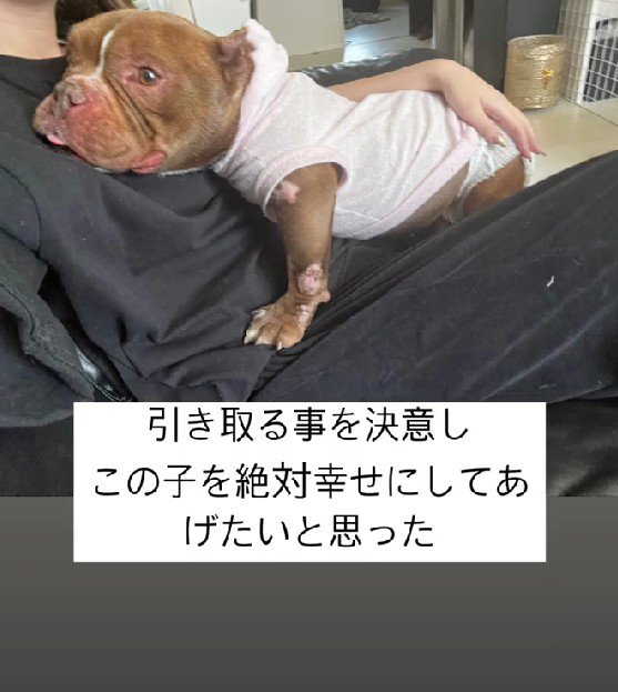 「この子を幸せにしてあげたい」