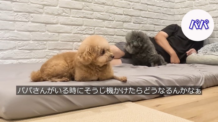 パパさんと一緒にリラックス♪