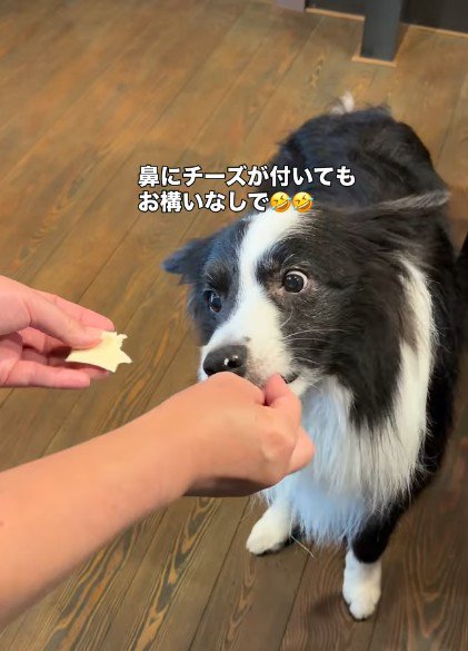 追いチーズを繰り返す