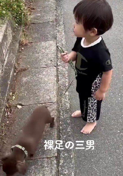 リードを引いて散歩