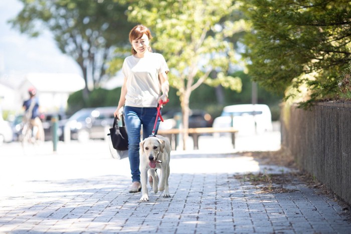 散歩する女性と犬