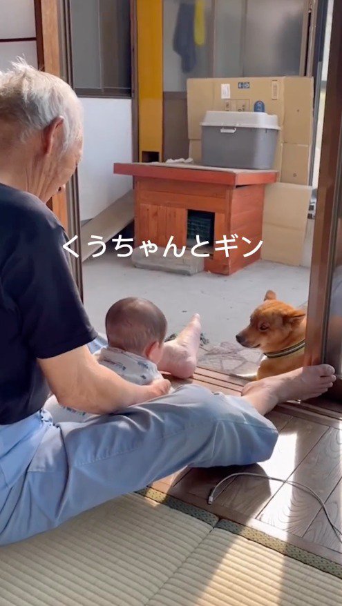 縁側に座る男性と赤ちゃんを見つめる犬