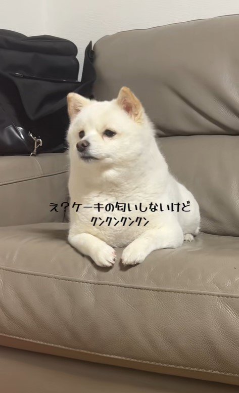 べらちゃんのバースデーソングへの反応6