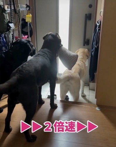 ソワソワ…