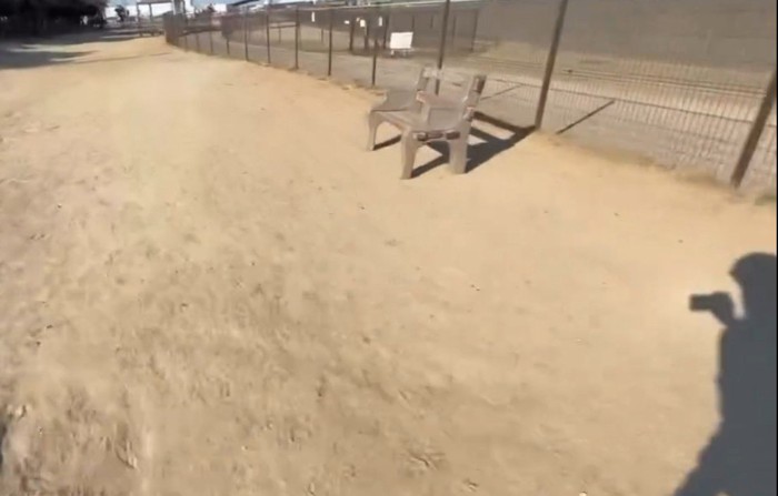 パパから送られてきた映像