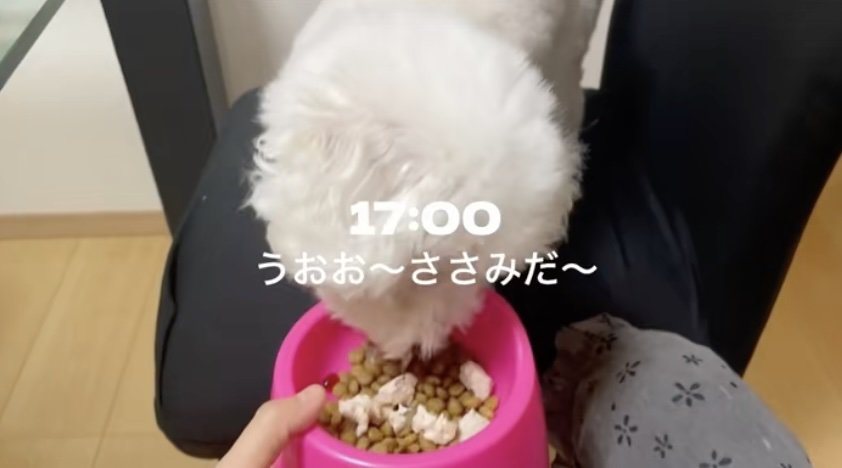 食欲満点!