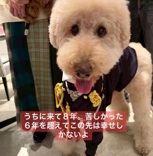 現在の姿に感動