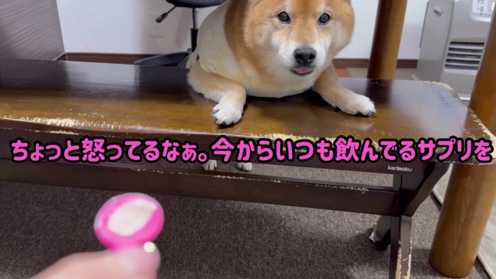 お薬の時間になったら…