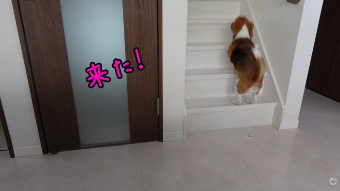 出勤前のママさんとメイちゃん3