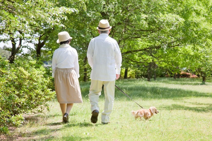 老夫婦と散歩する犬