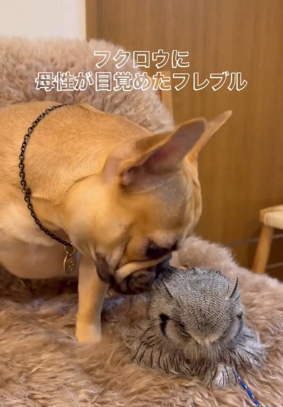 おとちゃんとはっさくくん